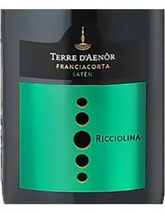 Franciacorta DOCG Saten Bio 'Ricciolina' (750 ml.) Terre d'Aenor Terre d'Aenor - 1 2