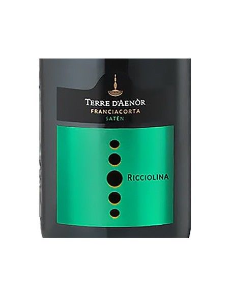 Franciacorta DOCG Saten Organic 'Ricciolina' (750 ml.) Terre d'Aenor Terre d'Aenor - 2