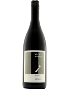Red Wines - Pinot Noir 'Little Beauty' 2020 (750 ml.) - Vinultra - Vinultra - 1