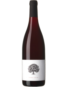 Vini Rossi - Pinot Nero 'White Label' 2018 (750 ml.) - Tilia Estate - Tilia Estate - 1