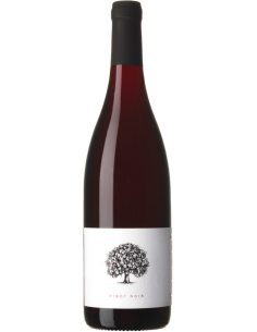 Red Wines - Pinot Noir 'White Label' 2018 (750 ml.) - Tilia Estate - Tilia Estate - 1