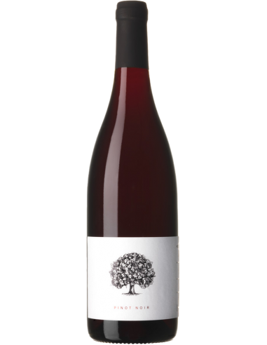 Vipava Valley Pinot Nero 'White Label' 2018 (750 ml.) Tilia Estate Tilia Estate - 1