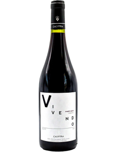 Red Wines - Pinot Noir 'Vivendo' 2019 (750 ml.) - Calyptra - Calyptra - 1