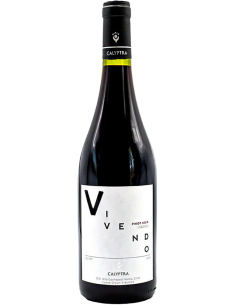 Pinot Noir 'Vivendo' 2019 (750 ml.) - Calyptra Calyptra - 1