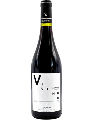 Red Wines - Pinot Noir 'Vivendo' 2019 (750 ml.) - Calyptra - Calyptra - 1