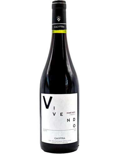 Pinot Noir 'Vivendo' 2019 (750 ml.) - Calyptra Calyptra - 1