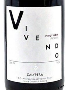 Pinot Noir 'Vivendo' 2019 (750 ml.) - Calyptra Calyptra - 1 2