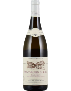 Vini Bianchi - Saint-Aubin 1er Cru 'Les Castets' 2019 (750 ml.) - Henri Prudhon & Fils - Henri Prudhon & Fils - 1