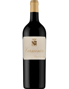 Vigneti delle Dolomiti IGT 'Carmenere' 2018 (750 ml.) Tenuta San Leonardo Tenuta San Leonardo - 1