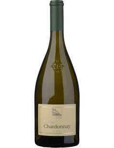 White Wines - Alto Adige Chardonnay DOC 2022 (750 ml.) - Terlan - Terlan - 1