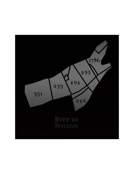 Prosecco Superiore DOCG Extra Dry Rive di Soligo 'Mas de Fer' (750 ml.) Andreola Andreola - 2