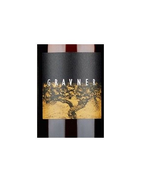 Venezia Giulia Ribolla Gialla IGT 2016 (750 ml.) Gravner Gravner - 2