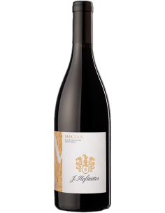 Vigneti delle Dolomiti IGT Pinot Nero 'Meczan' 2022 (750 ml.) - Hofstatter Hofstatter - 1
