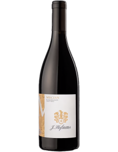 Red Wines - Vigneti delle Dolomiti IGT Pinot Noir 'Meczan' 2022 (750 ml.) - Hofstatter - Hofstatter - 1