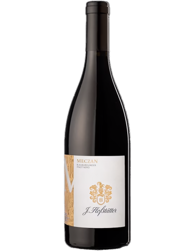 Vigneti delle Dolomiti IGT Pinot Noir 'Meczan' 2022 (750 ml.) - Hofstatter Hofstatter - 1