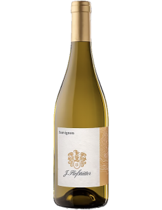Vini Bianchi - Vigneti delle Dolomiti IGT Sauvignon 2023 (750 ml.) - Hofstatter - Hofstatter - 1