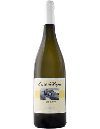White Wines - Riviera Ligure di Ponente Pigato DOC 'Costa de Vigne' 2023 (750 ml.) - Massimo Alessandri - Massimo Alessandri - 1