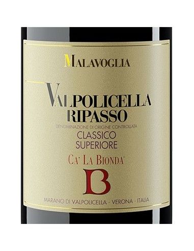 Valpolicella Ripasso Classico Superiore DOC 'Malavoglia' 2020 (750 ml.) Ca' La Bionda Ca' la Bionda - 2