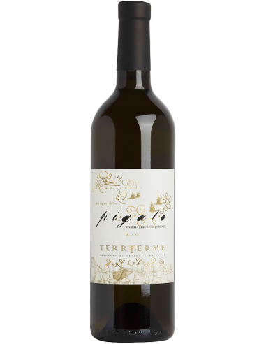 Vini Bianchi - Riviera Ligure di Ponente DOC Pigato 2023 (750 ml.) - Lunae Bosoni - Lunae - 1