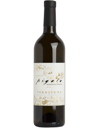 Riviera Ligure di Ponente DOC Pigato 2023 (750 ml.) - Lunae Bosoni Lunae - 1