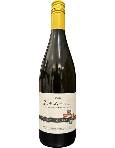 Vini Bianchi - Derthona DNA 2022 (750 ml.) - Vigneti Massa - Vigneti Massa - 1