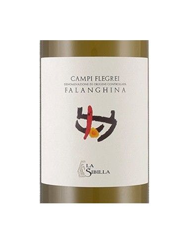 Campi Flegrei Falanghina DOC 2023 (750 ml.) La Sibilla La Sibilla - 2