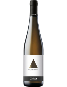 Trentino DOC Muller Thurgau 2021 (750 ml.) - Cembra Cembra - 1