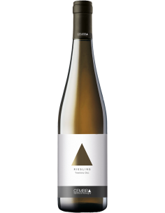 White Wines - Trentino DOC Riesling 2021 (750 ml.) - Cembra - Cembra - 1