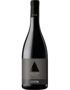 Red Wines - Trentino DOC Pinot Noir 2020 (750 ml.) - Cembra - Cembra - 1