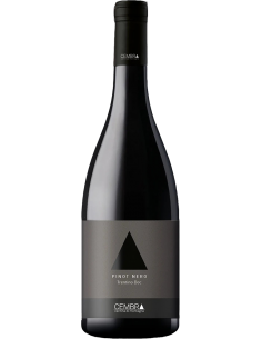 Trentino DOC Pinot Noir 2020 (750 ml.) - Cembra Cembra - 1