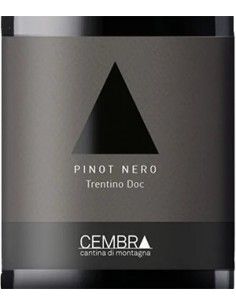 Trentino DOC Pinot Noir 2020 (750 ml.) - Cembra Cembra - 1 2