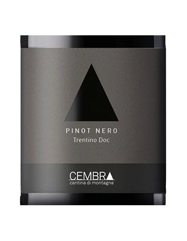 Trentino DOC Pinot Nero 2020 (750 ml.) Cembra Cembra - 2