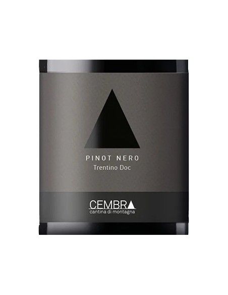 Trentino DOC Pinot Nero 2020 (750 ml.) Cembra Cembra - 2
