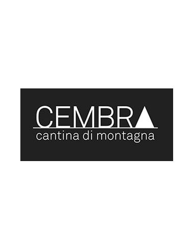 Vineyards of the Dolomites IGT 'Zymbra' 2019 (750 ml.) Cembra Cembra - 3
