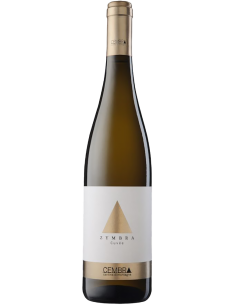 Vigneti delle Dolomiti IGT 'Zymbra' 2019 (750 ml.) - Cembra Cembra - 1