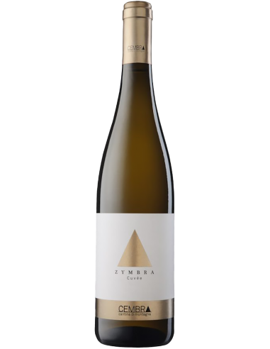 Vigneti delle Dolomiti IGT 'Zymbra' 2019 (750 ml.) - Cembra Cembra - 1