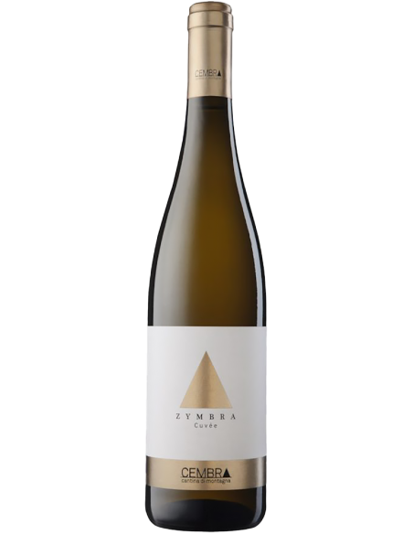 Vineyards of the Dolomites IGT 'Zymbra' 2019 (750 ml.) Cembra Cembra - 1