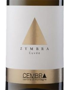 Vineyards of the Dolomites IGT 'Zymbra' 2019 (750 ml.) Cembra Cembra - 1 2