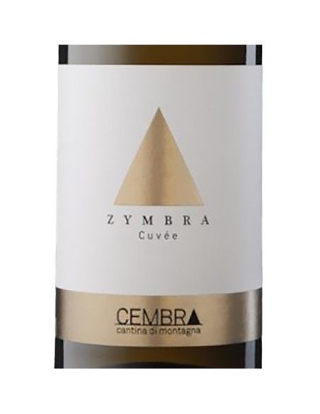 Vineyards of the Dolomites IGT 'Zymbra' 2019 (750 ml.) Cembra Cembra - 2