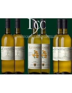 Confezioni - Degustazione 'I Bianchi di Toscana' (6x750 ml.) - Castellare di Castellina - Castellare di Castellina - 1