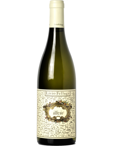 Colli Orientali del Friuli DOC 'Illivio' 2022 (750 ml.) Livio Felluga Livio Felluga - 1