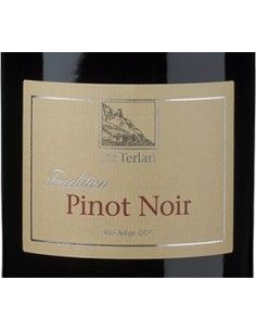 Alto Adige DOC Pinot Noir 2023 (750 ml.) Terlan Terlan - 1 2