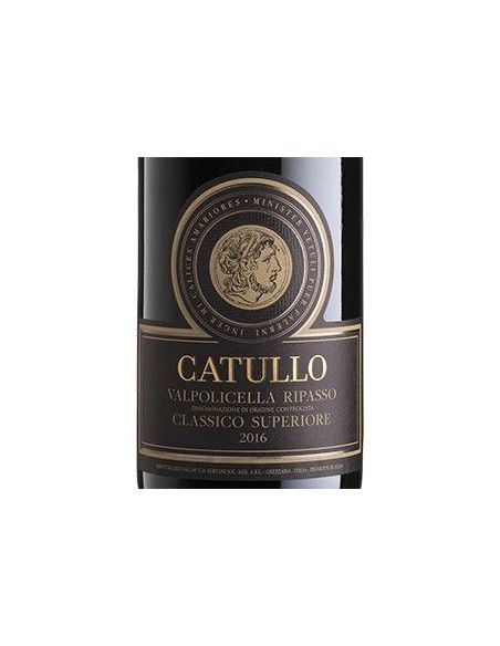 Valpolicella Ripasso Classico Superiore DOC 'Catullo' 2020 (750 ml.) Bertani Bertani - 2