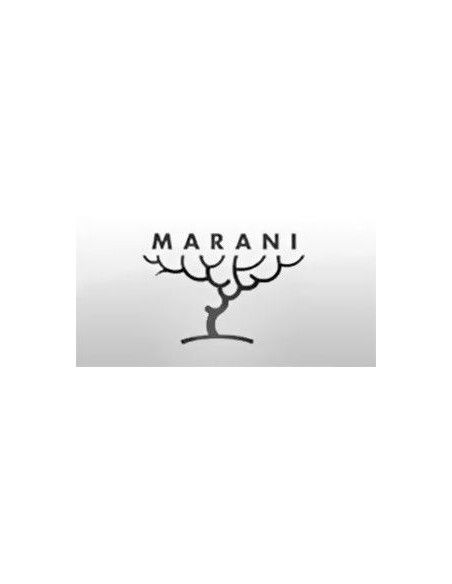 Verdicchio di Matelica DOC 'Oppano' 2021 (750 ml.) Sergio Marani Sergio Marani - 3 Verdicchio di Matelica DOC 'Oppano' 2021 (750 ml.) Sergio Marani Sergio Marani - 3