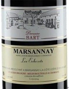 Marsannay AOC Pinot Noir 'Les Echezots' 2021 (750 ml.) Domaine Bart Bart - 1 2