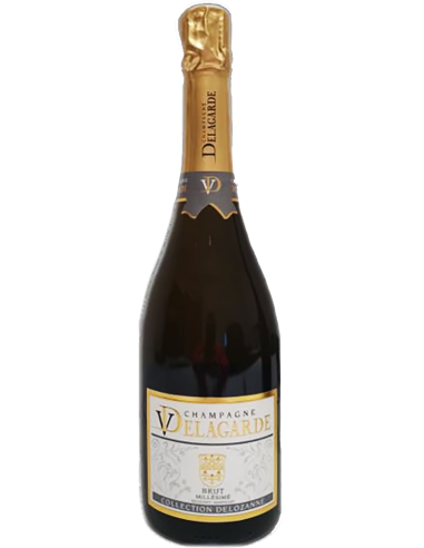 Champagne Brut Vintage 2016 (750 ml.) V. Delagarde Delagarde - 1