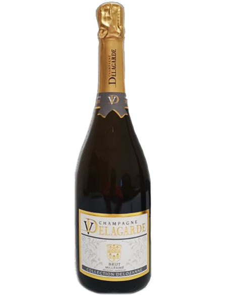Champagne AOC Brut Millesime' 2016 (750 ml.) V. Delagarde Delagarde - 1