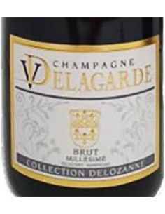 Champagne AOC Brut Vintage 2016 (750 ml.) V. Delagarde Delagarde - 1 2