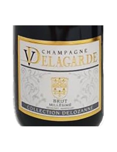 Champagne AOC Brut Millesime' 2016 (750 ml.) V. Delagarde Delagarde - 2