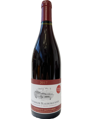 Alto Adige Pinot Nero DOC Private Cellar 'Mazzon' 2017 (750 ml.) - Gottardi Gottardi - 1